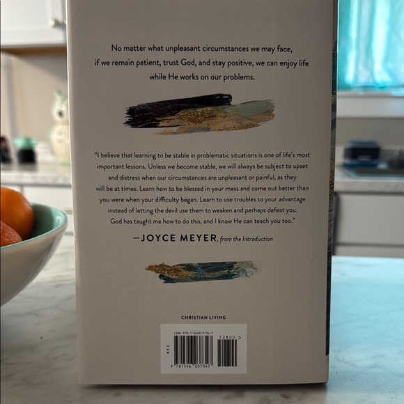 Blessed in the Mess Book - Picture 2 of 2